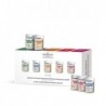 FARMONA PROFESSIONAL ZESTAW AKTYWNYCH KONCENTRATÓW DO PIELĘGNACJI SKÓRY 10x5ml