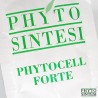 Krem Antycellulitowy - Forte - saszetka 10ml Phyto